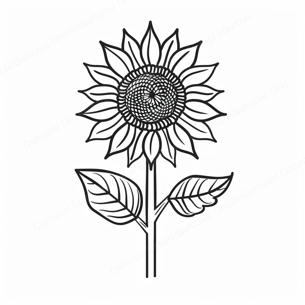 Sunflower Vector Graphic preview
