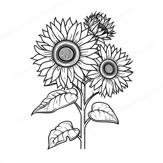 Sunflower Vector Graphic preview