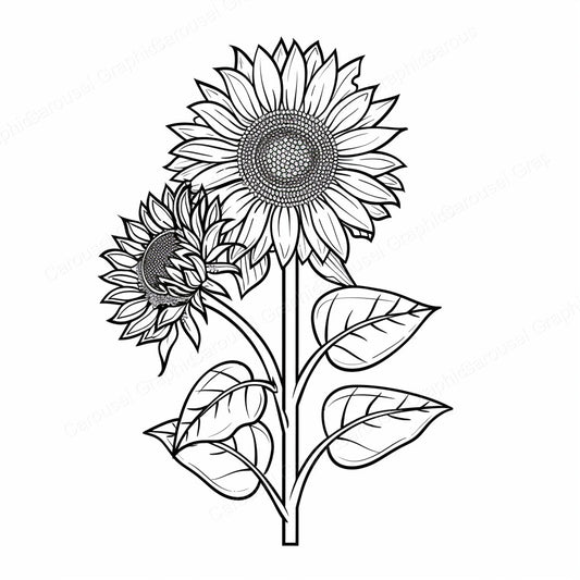 Sunflower Vector Graphic preview