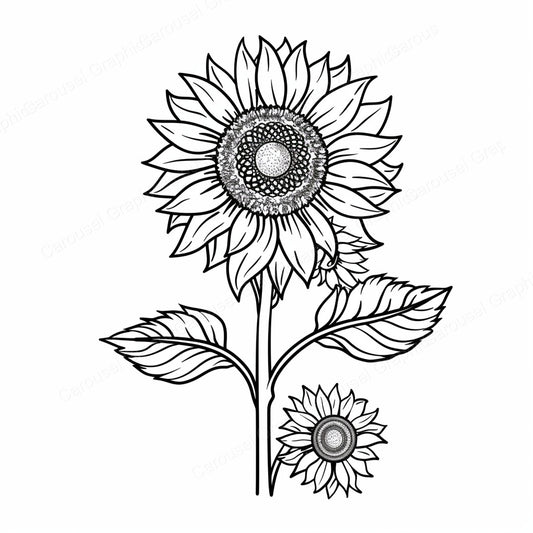 Sunflower Vector Graphic preview