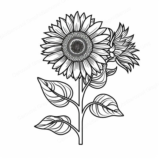 Sunflower Vector Graphic preview