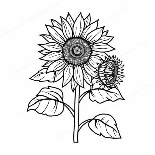 Sunflower Vector Graphic preview