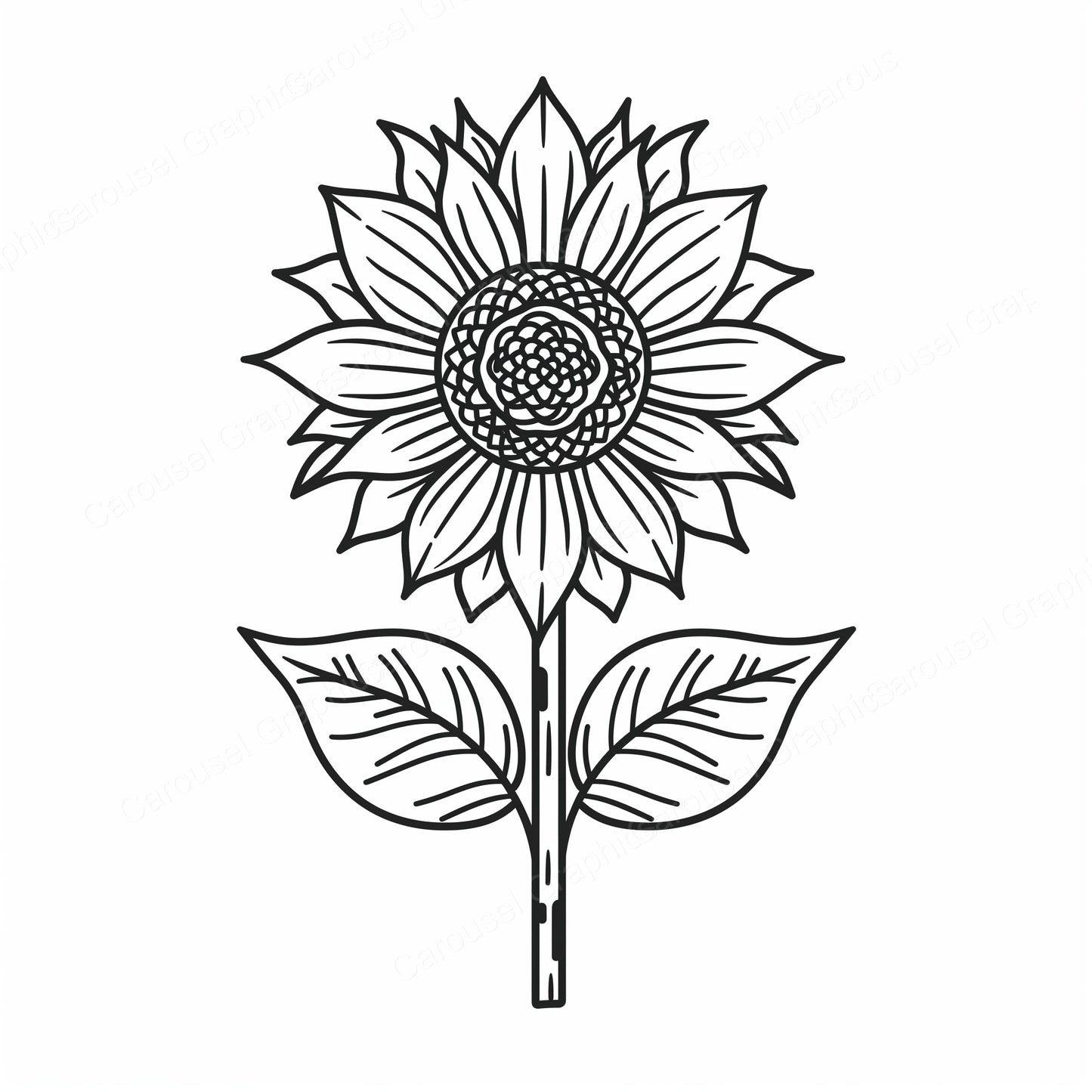Sunflower Vector Graphic preview