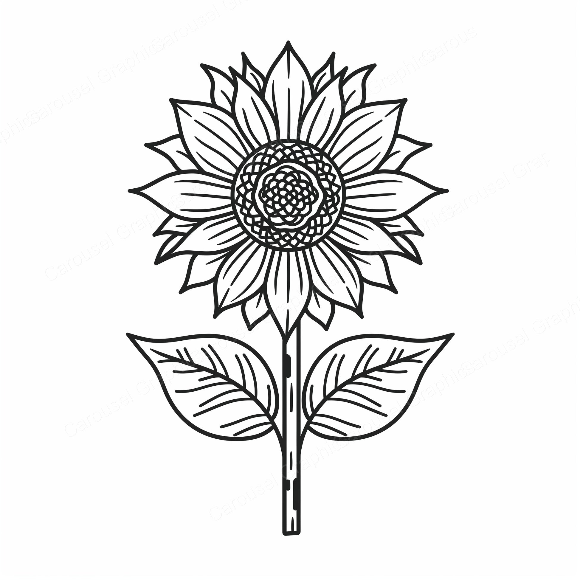 Sunflower Vector Graphic preview
