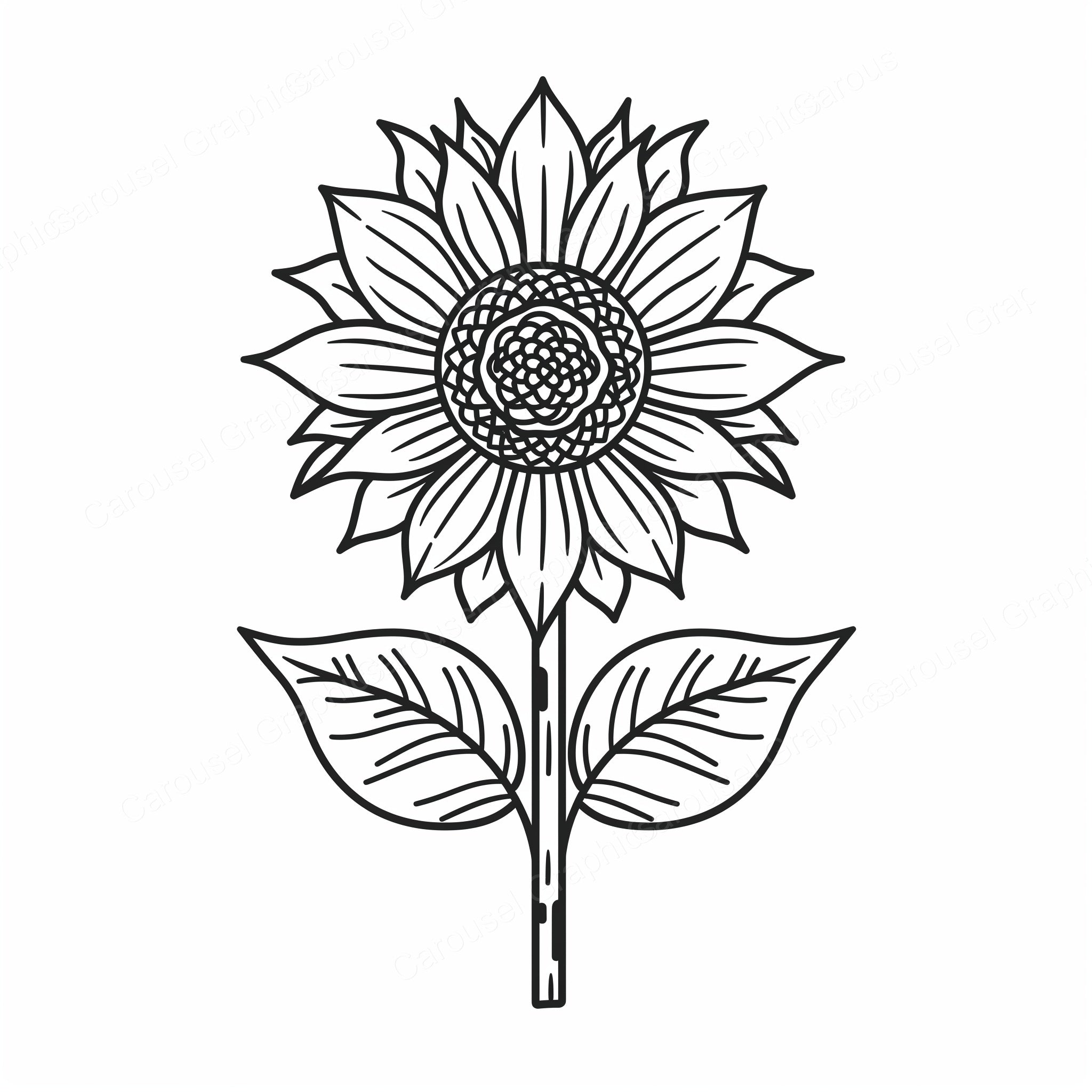 Sunflower Vector Graphic preview