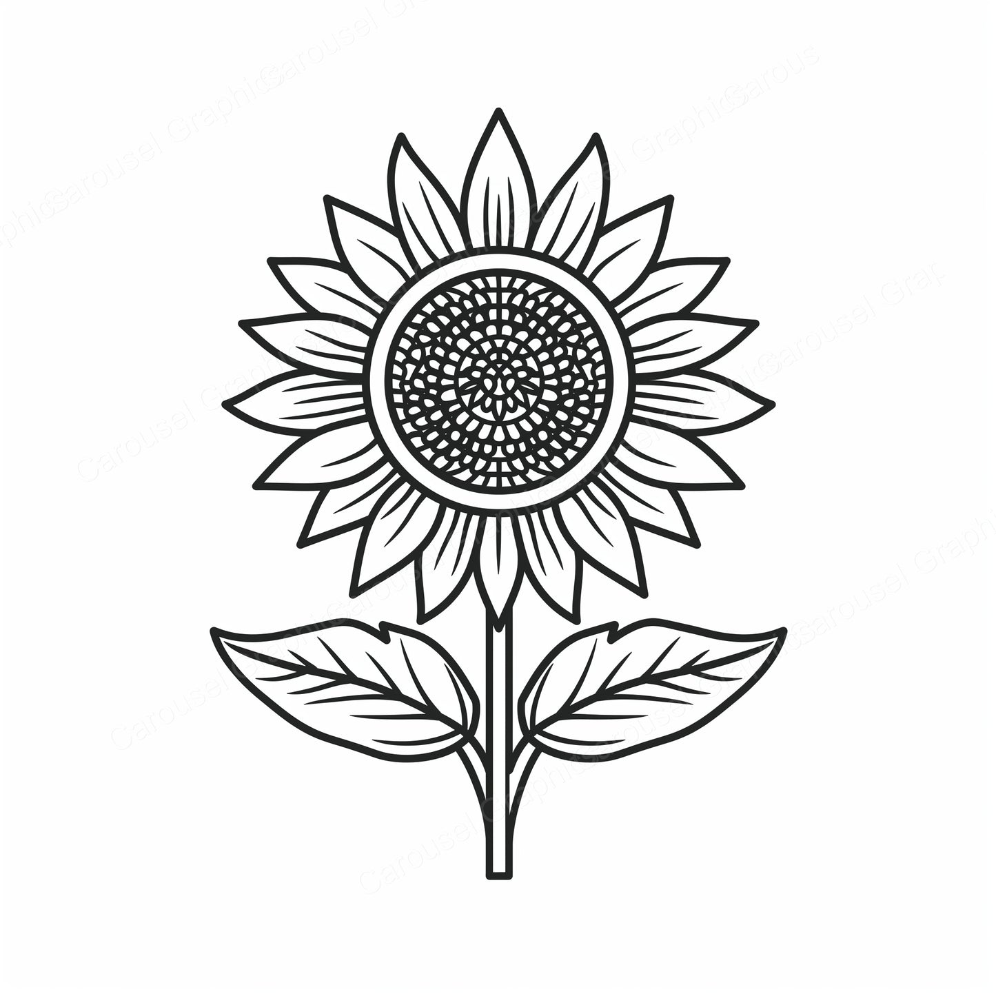 Sunflower Vector Graphic preview
