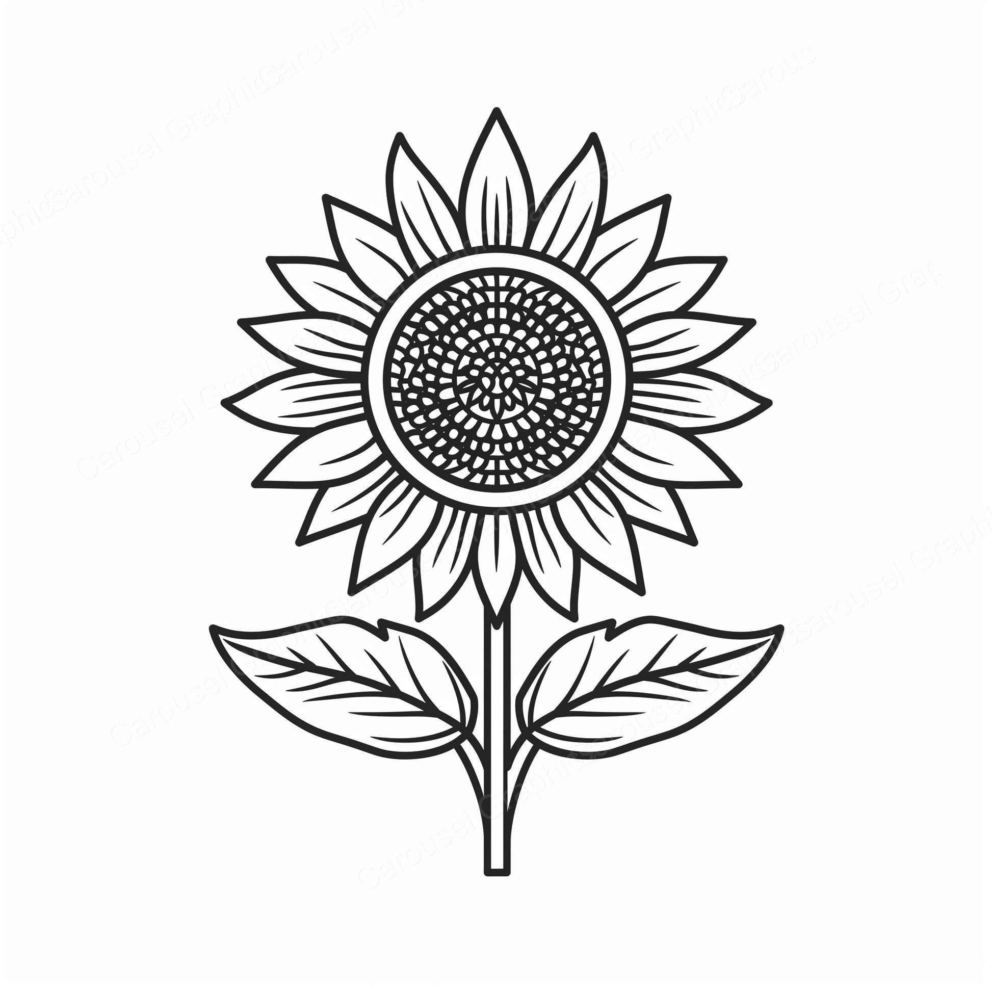 Sunflower Vector Graphic preview