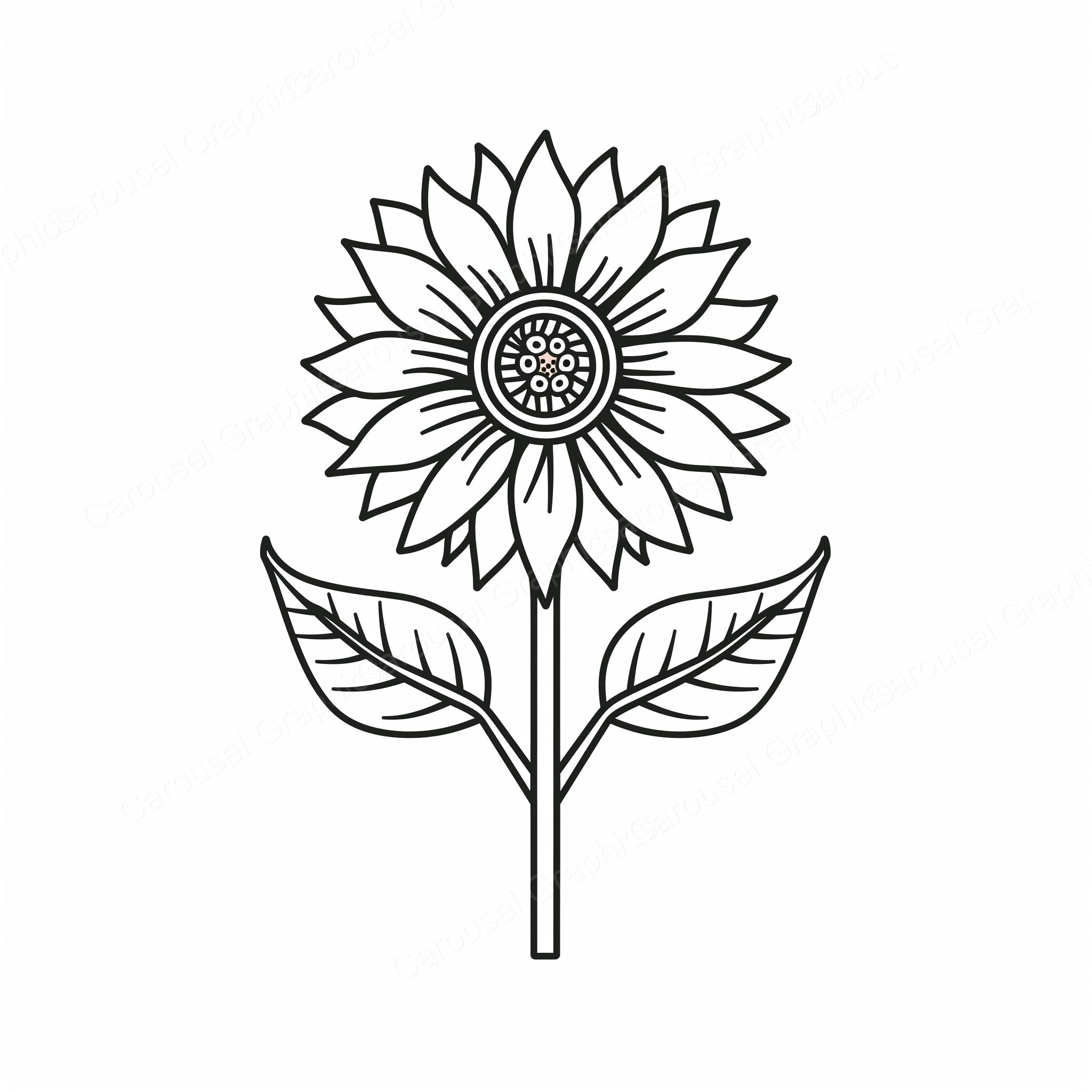 Sunflower Vector Graphic preview