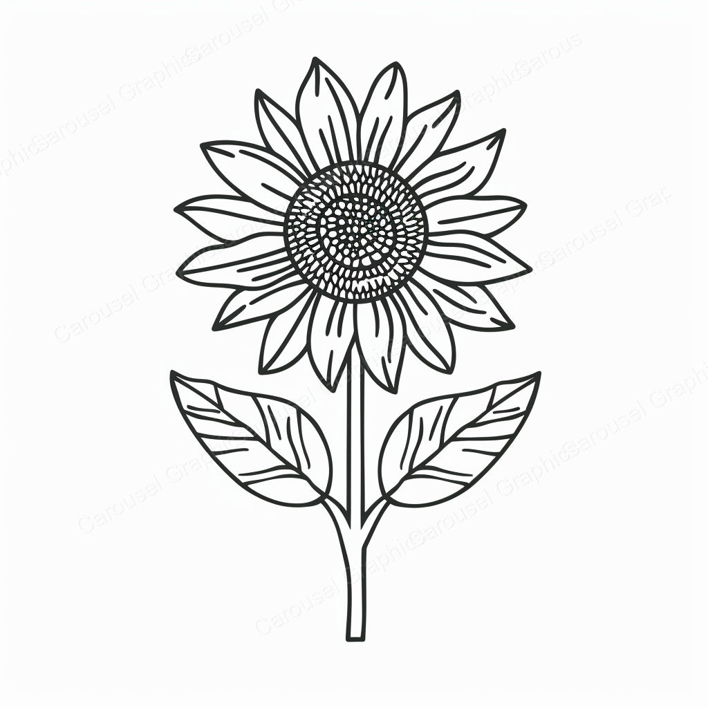 Sunflower Vector Graphic preview