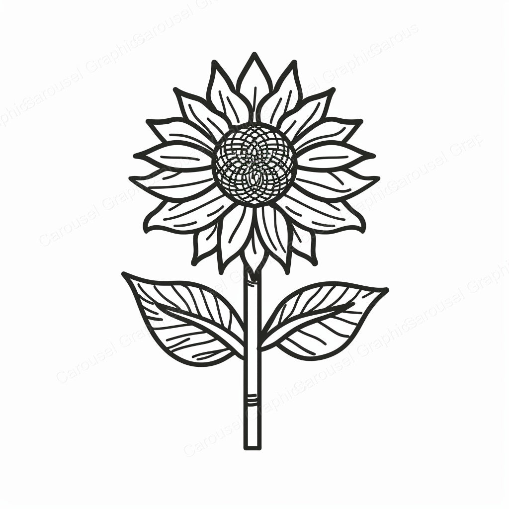 Sunflower Vector Graphic preview