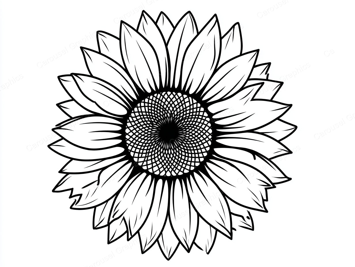 Sunflower Vector Graphic preview