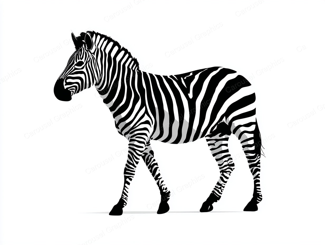 Zebra Vector Graphic preview