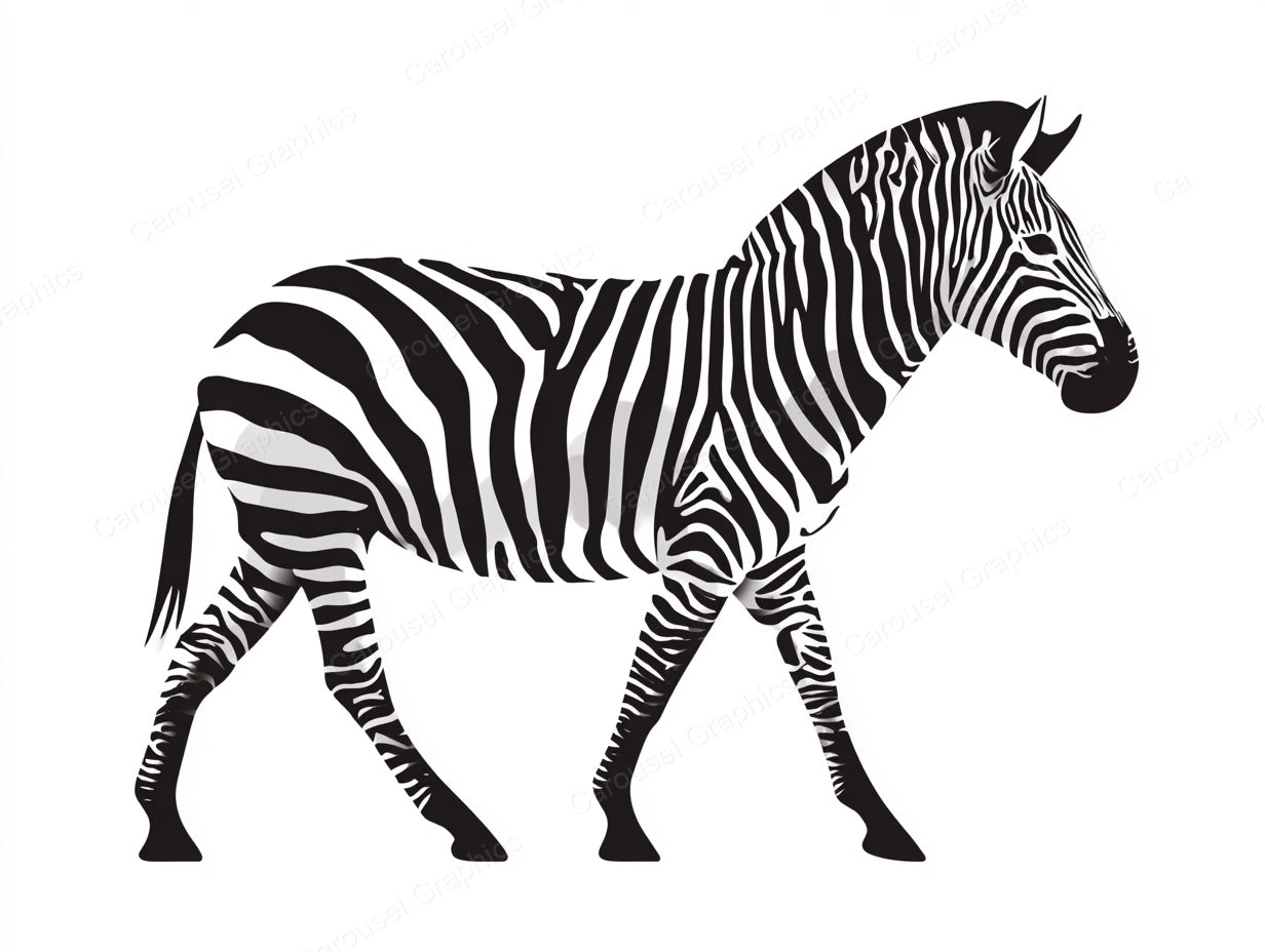 Zebra Vector Graphic preview