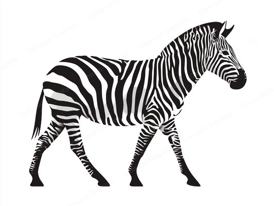 Zebra Vector Graphic preview