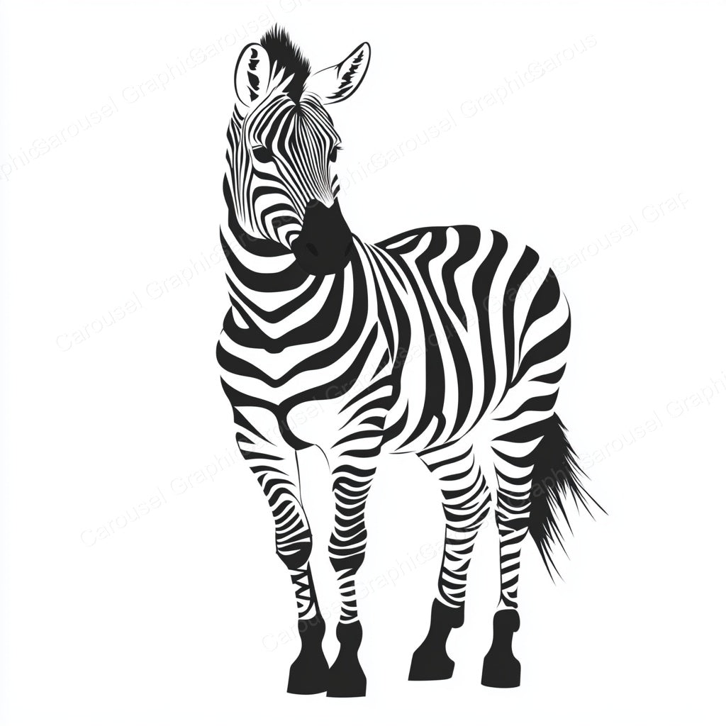 Zebra Vector Graphic preview