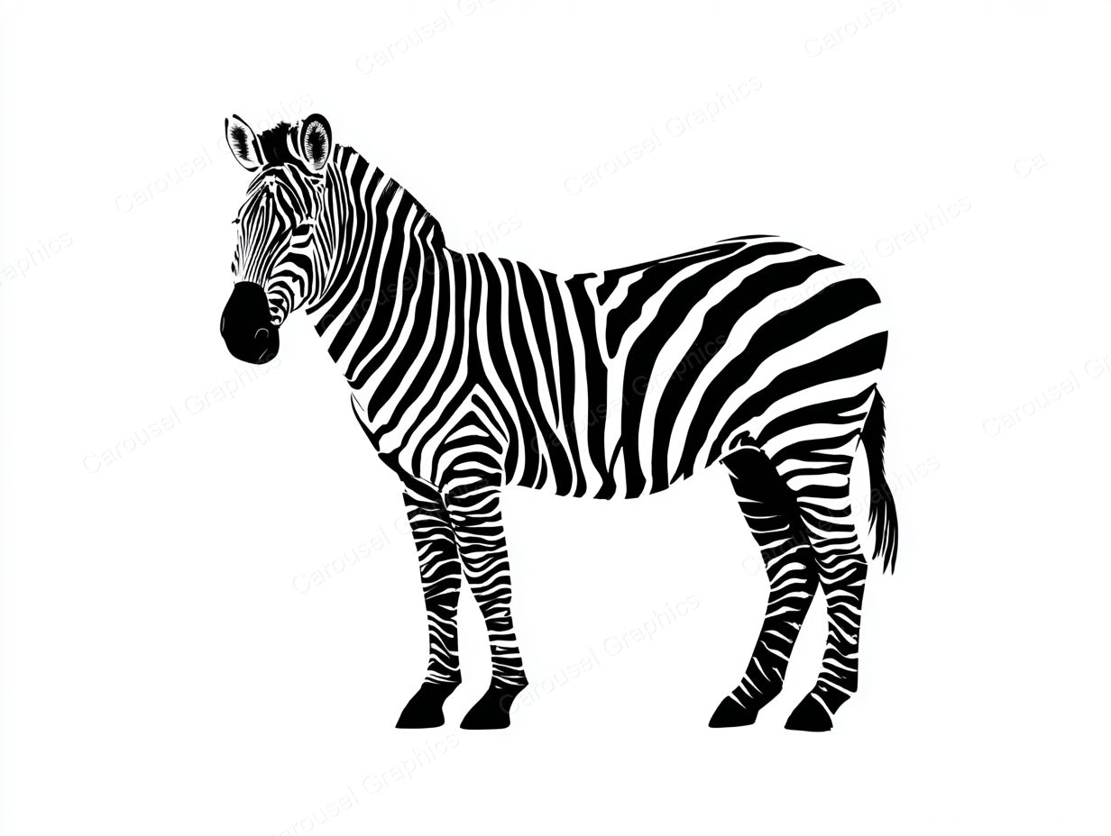 Zebra Vector Graphic preview