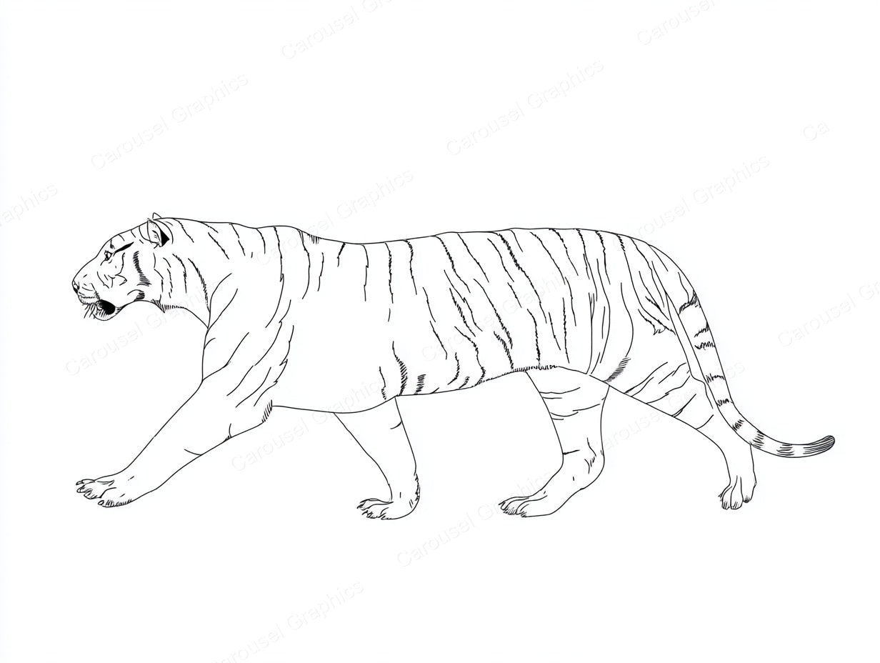 Tiger Vector Graphic preview