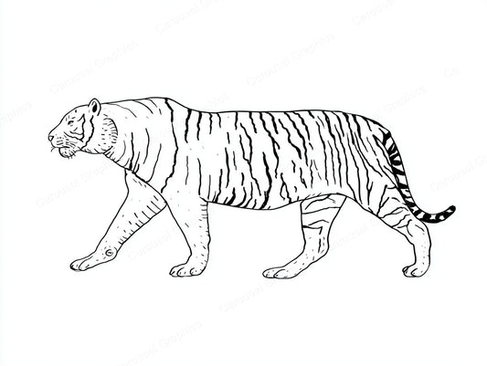 Tiger Vector Graphic preview