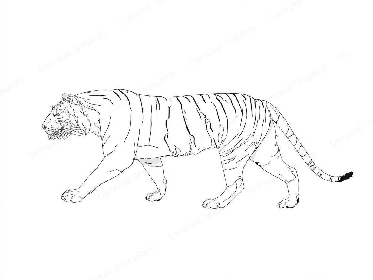 Tiger Vector Graphic preview
