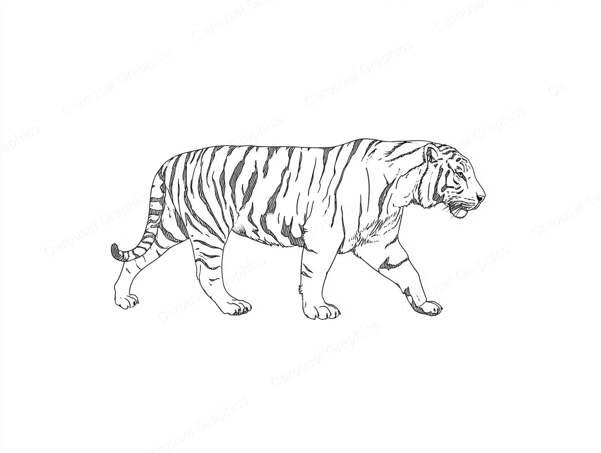 Tiger Vector Graphic preview