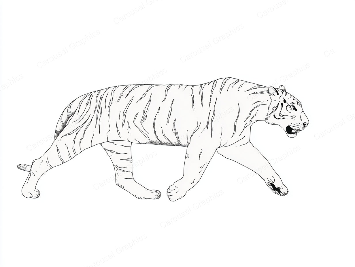 Tiger Vector Graphic preview