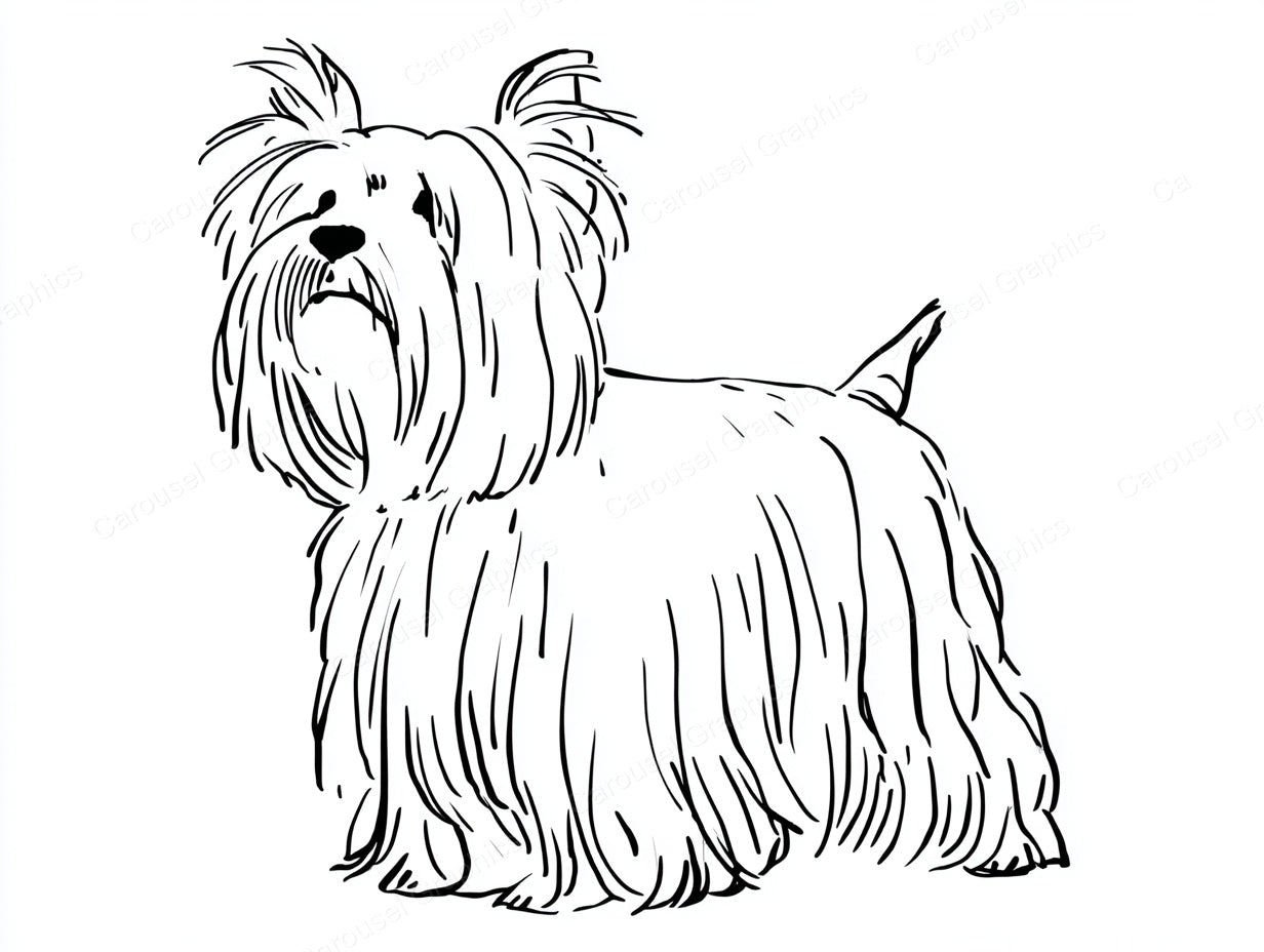 Yorkie Vector Graphic preview