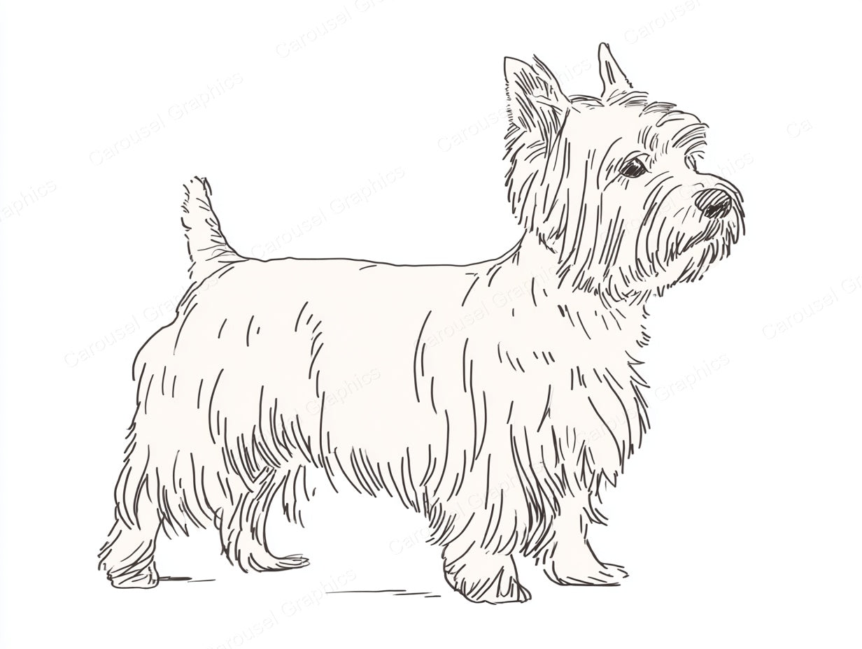Yorkie Vector Graphic preview
