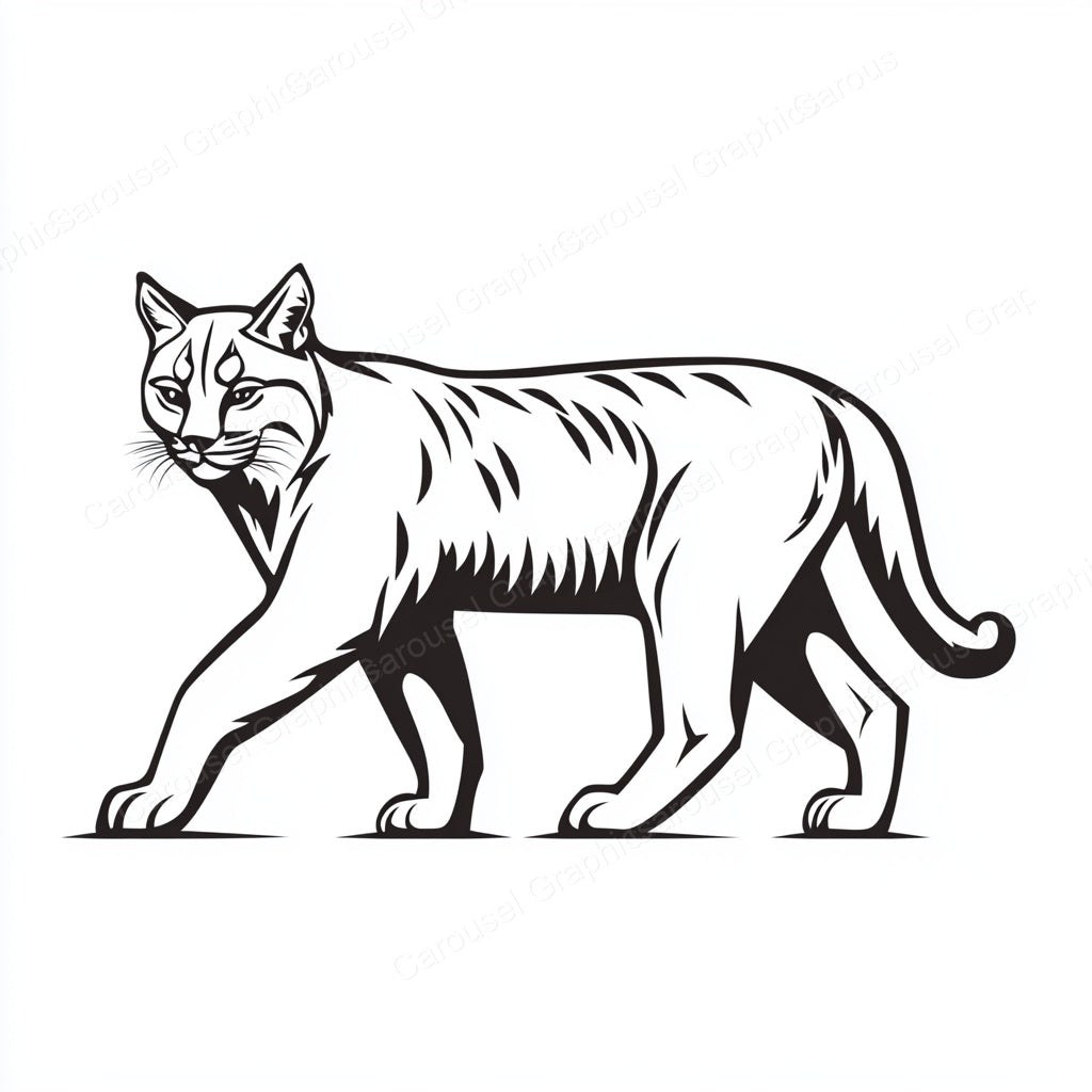 Bobcat Vector Graphic preview