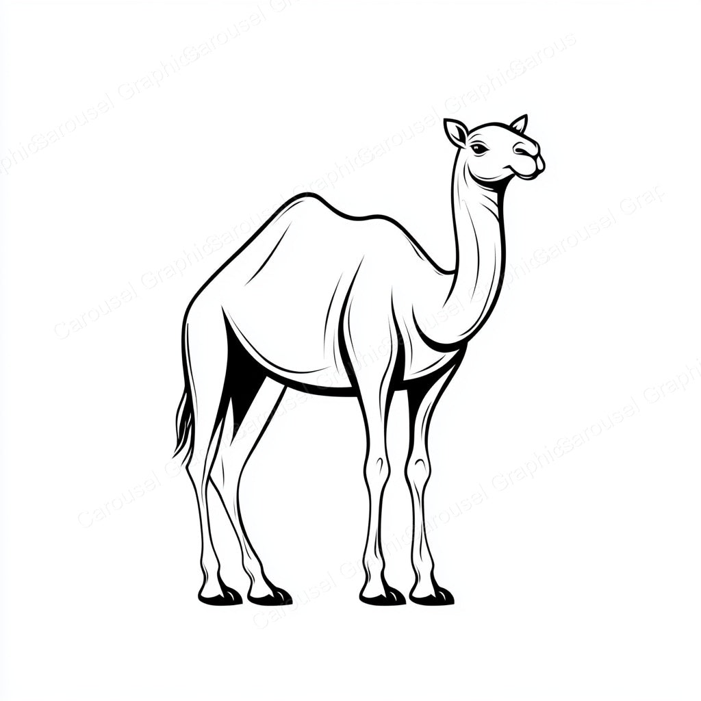 Camel Vector Graphic preview