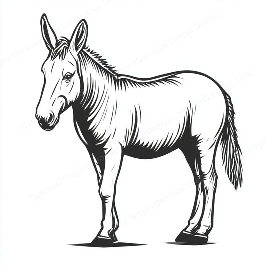 Donkey Vector Graphic preview