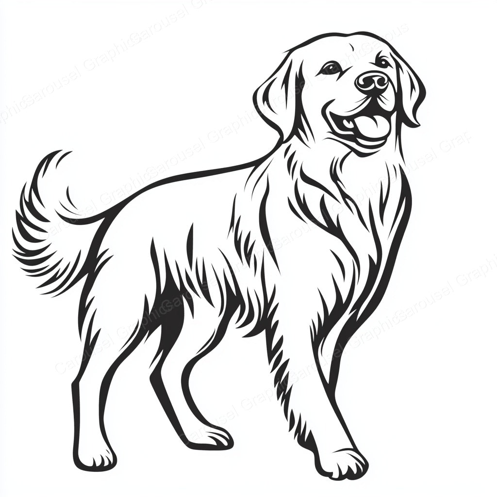 Golden Retriever Vector Graphic preview