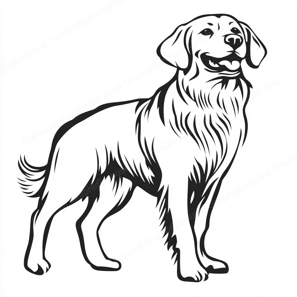 Golden Retriever Vector Graphic preview