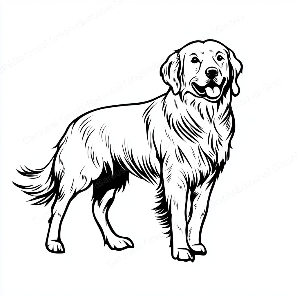 Golden Retriever Vector Graphic preview