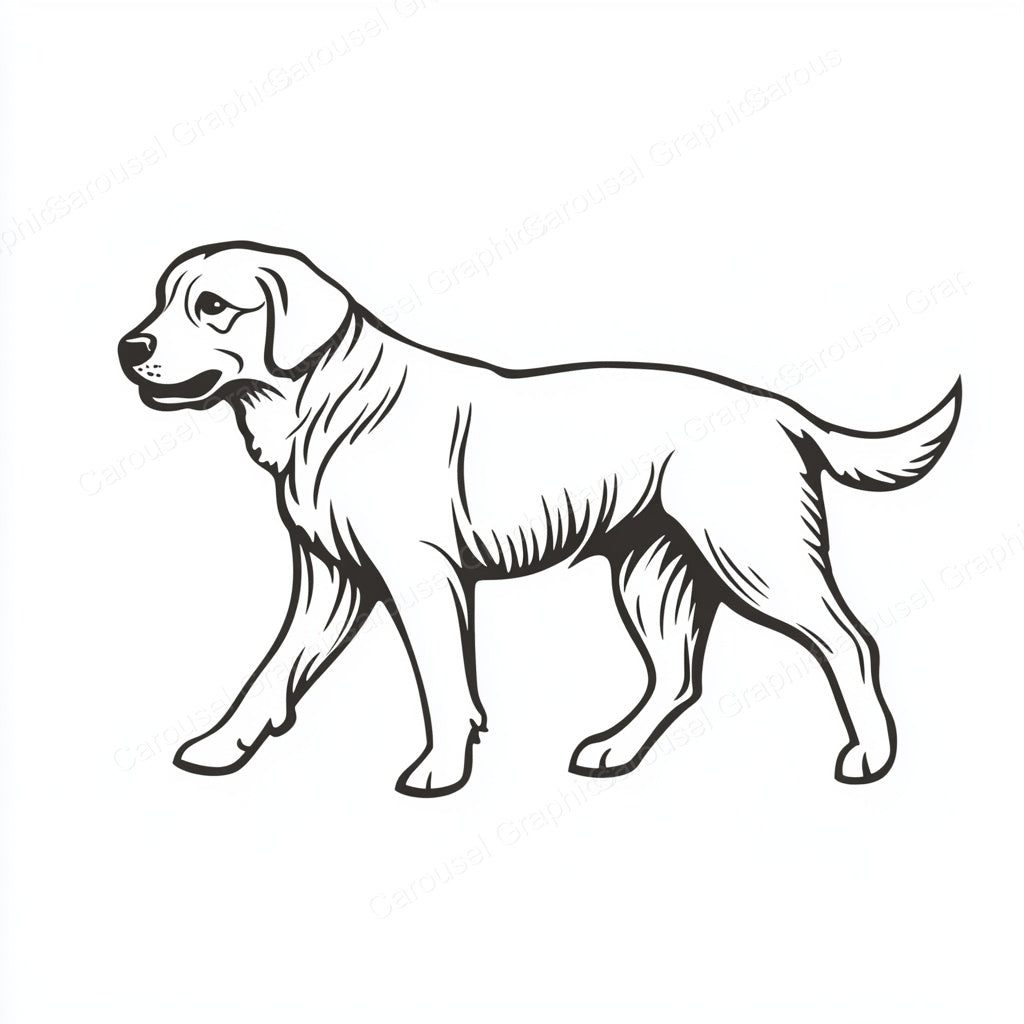 Golden Retriever Vector Graphic preview