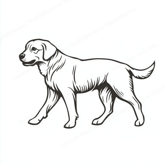 Golden Retriever Vector Graphic preview