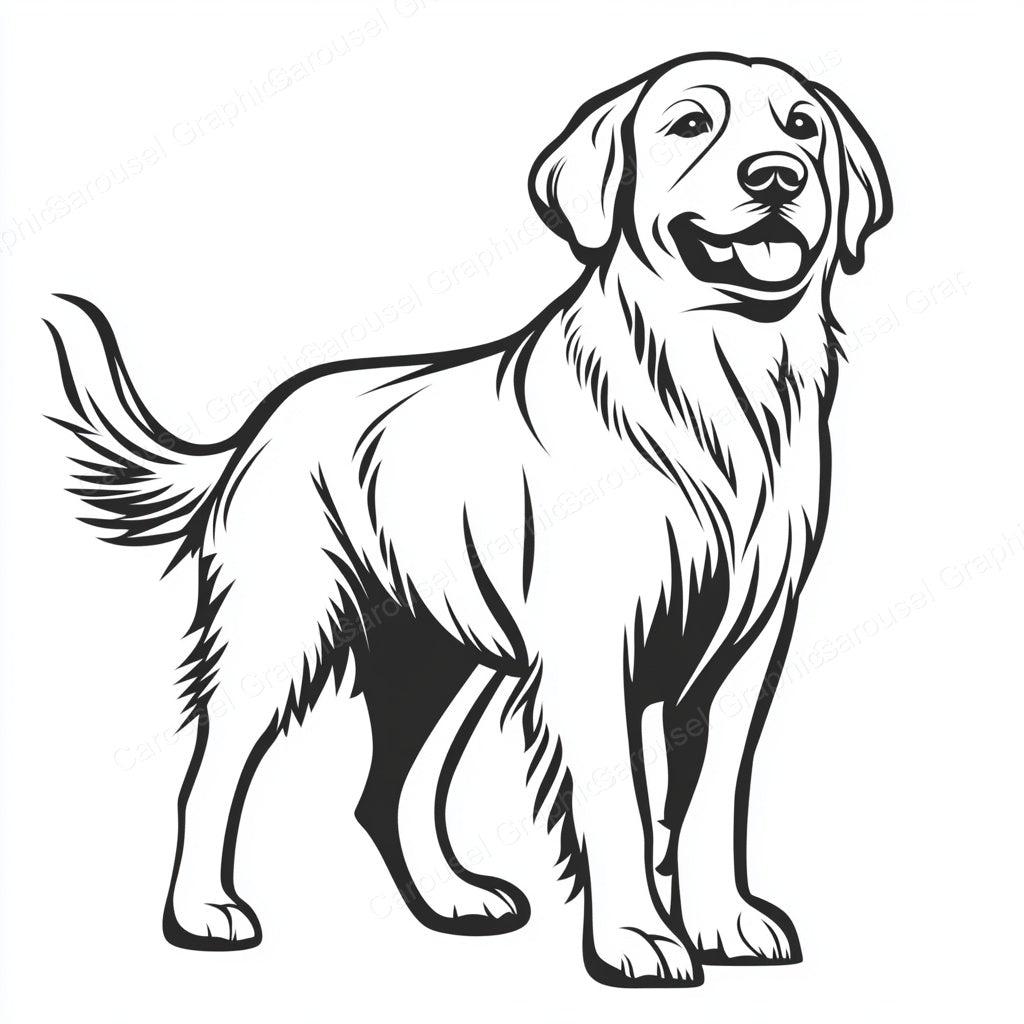 Golden Retriever Vector Graphic preview