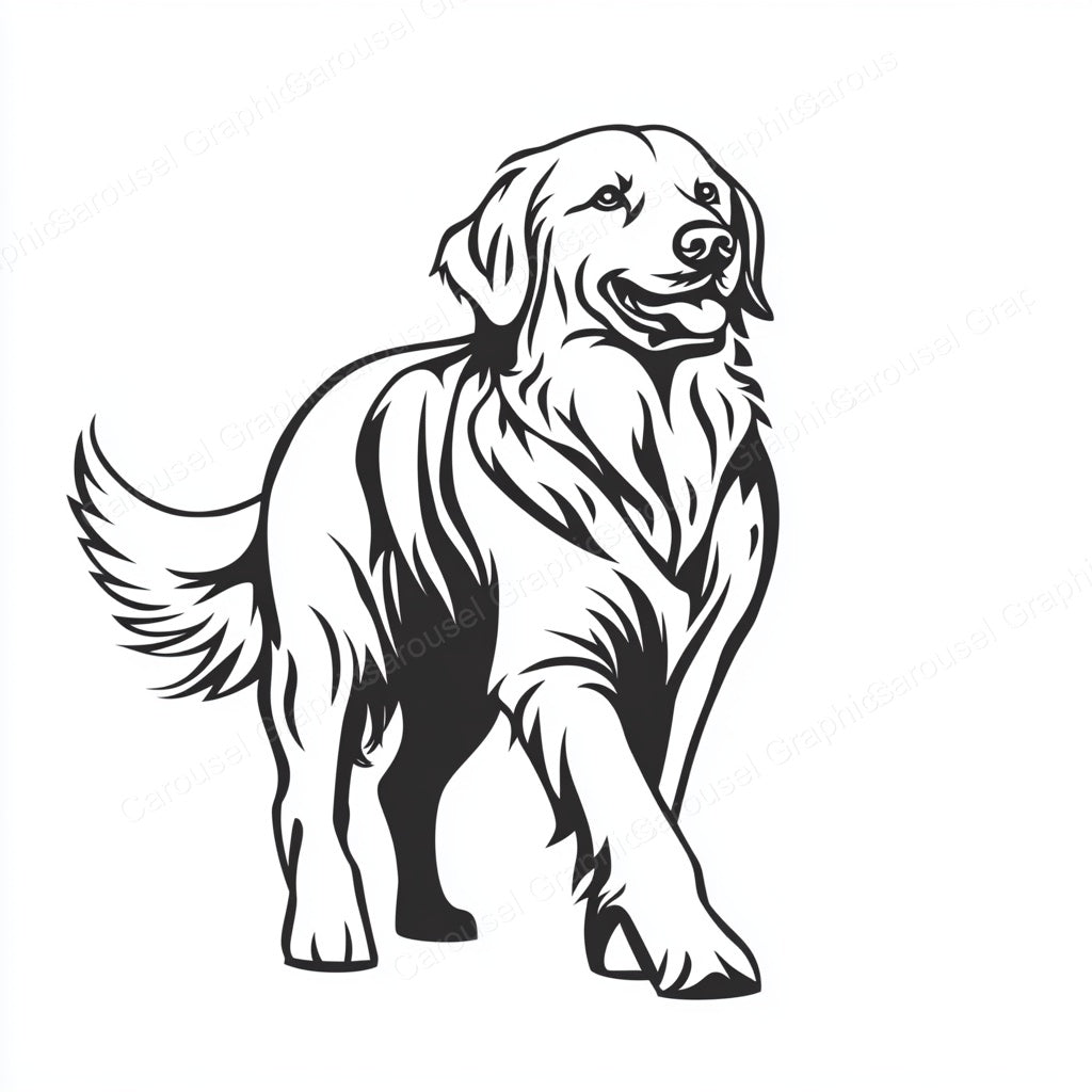 Golden Retriever Vector Graphic preview