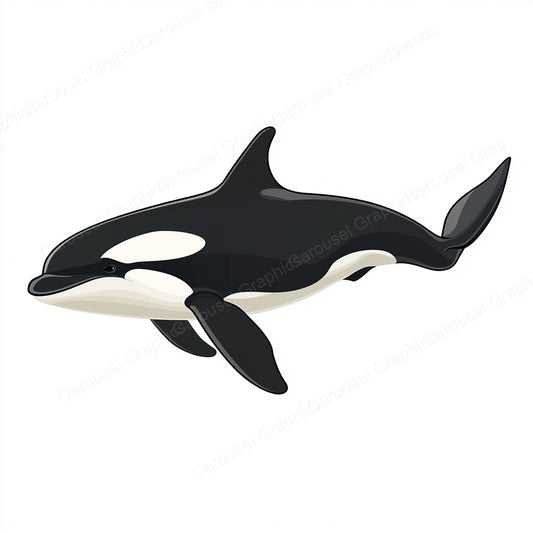 Orca Vector Graphic preview