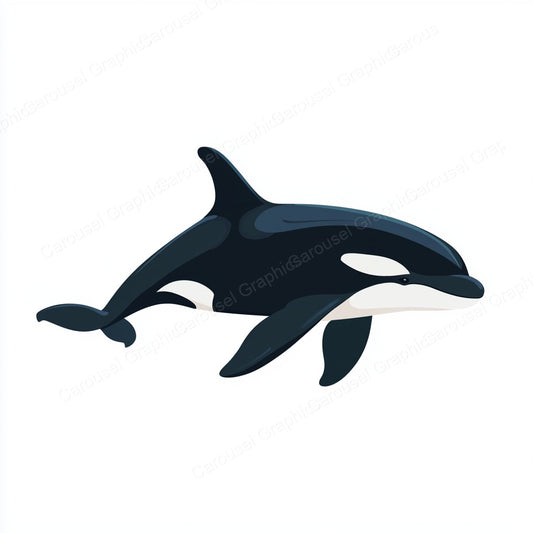 Orca Vector Graphic preview