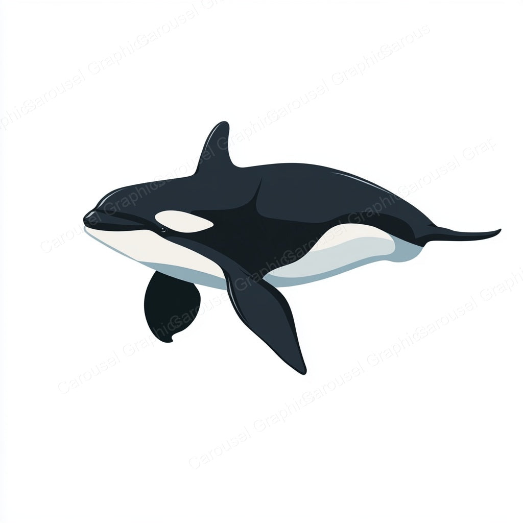 Orca Vector Graphic preview