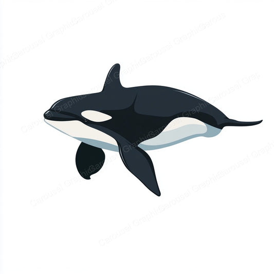 Orca Vector Graphic preview