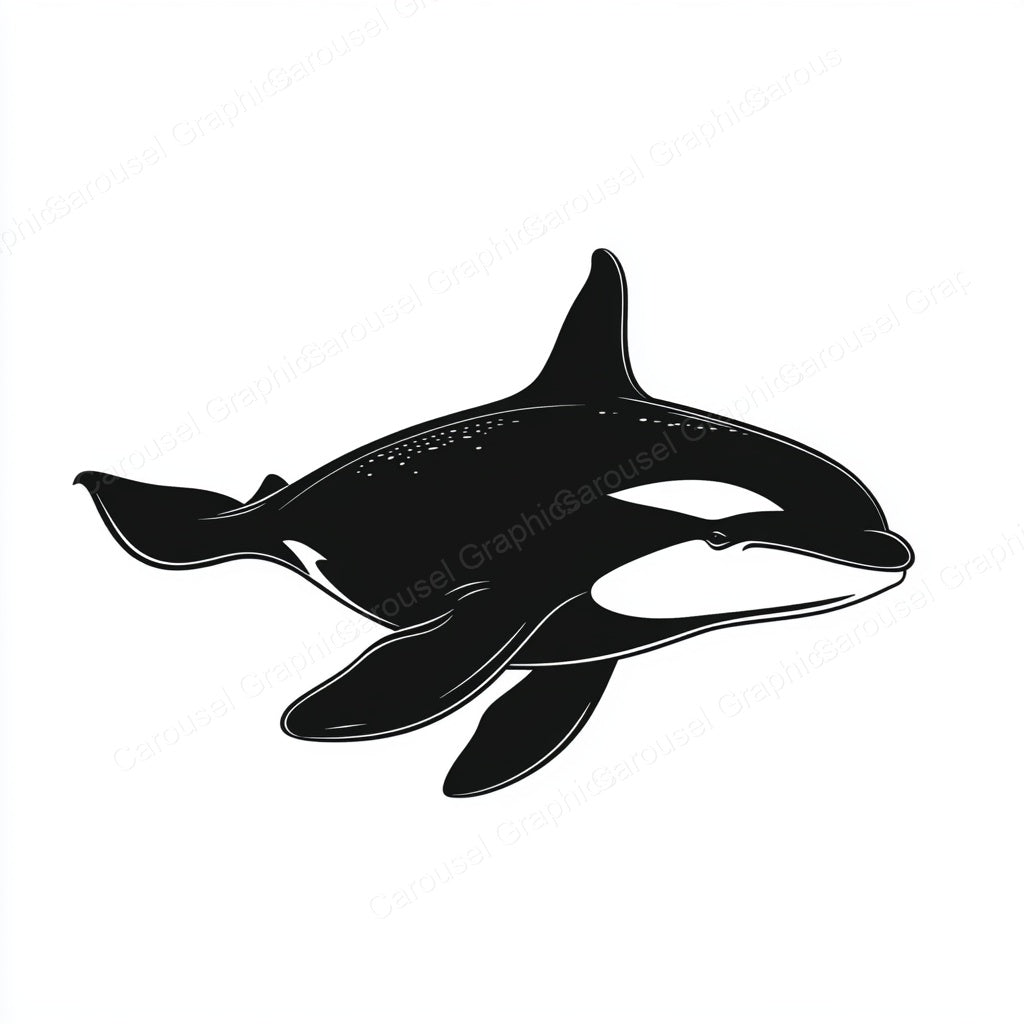 Orca Vector Graphic preview
