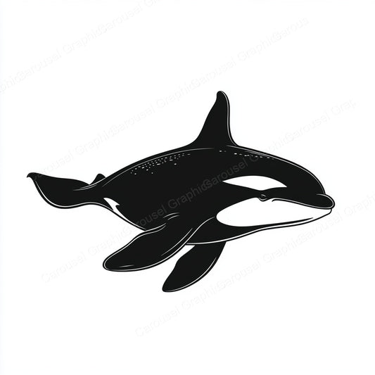Orca Vector Graphic preview