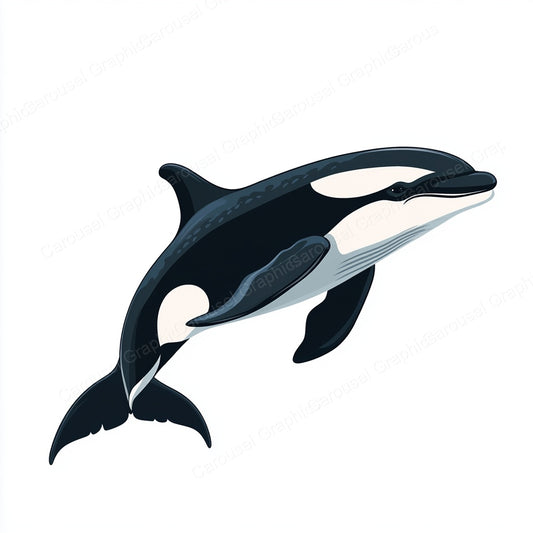 Orca Vector Graphic preview