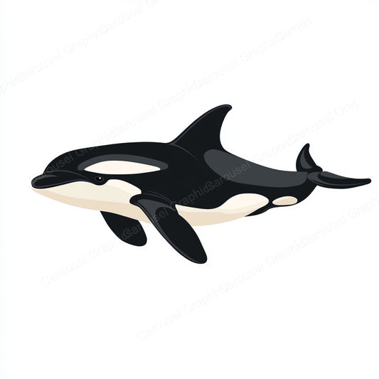 Orca Vector Graphic preview