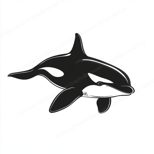 Orca Vector Graphic preview
