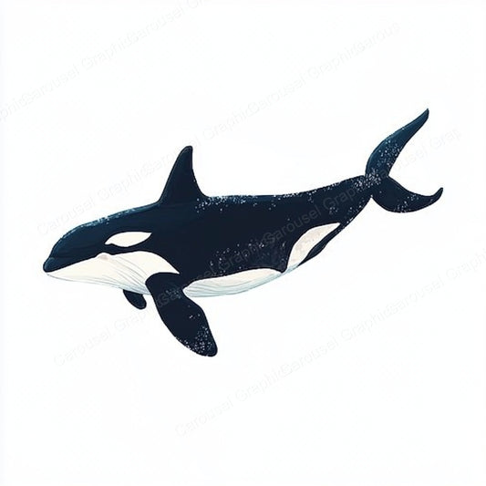 Orca Vector Graphic preview
