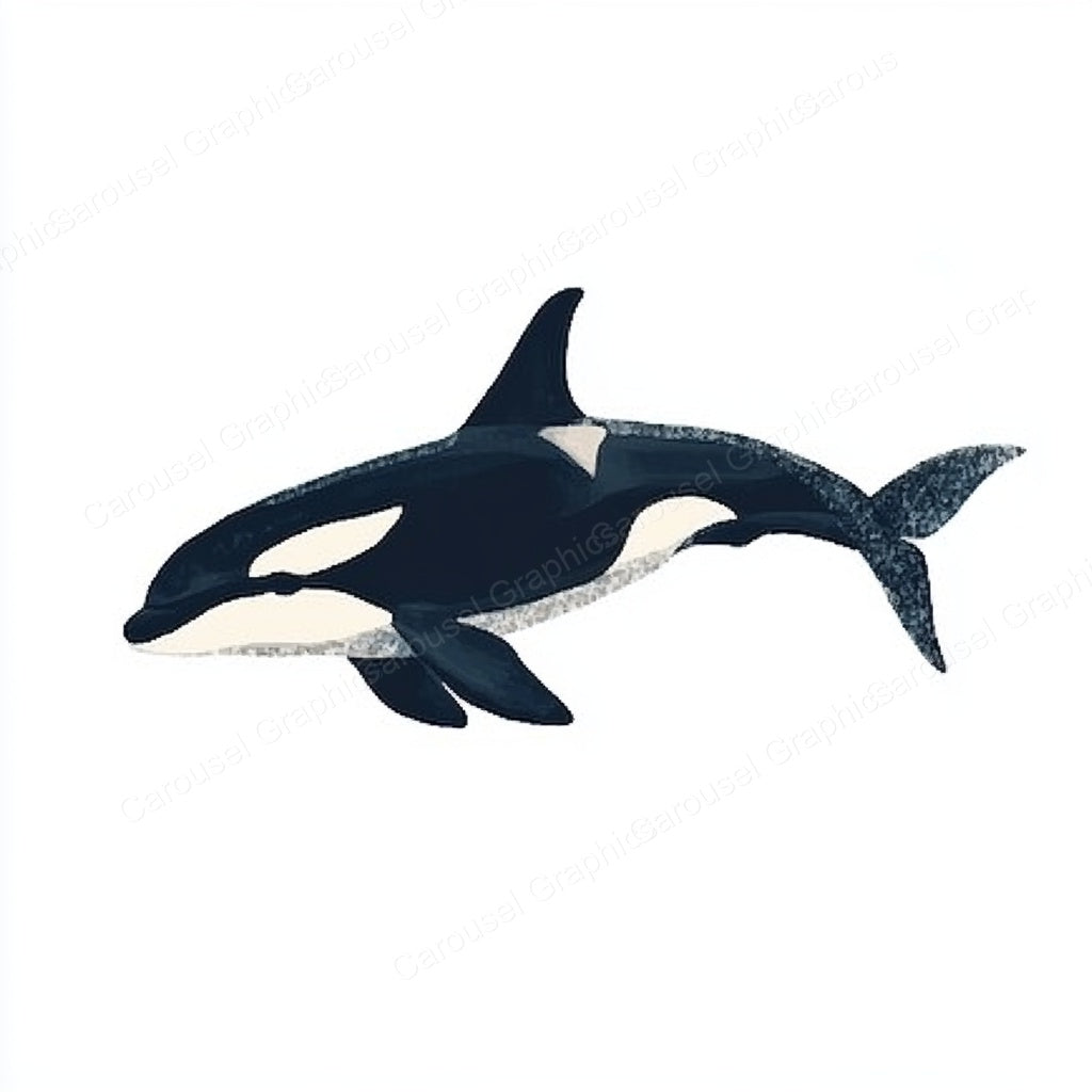 Orca Vector Graphic preview