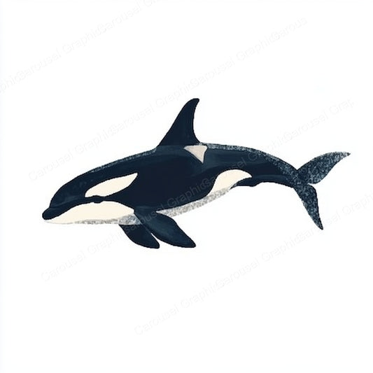 Orca Vector Graphic preview