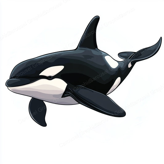 Orca Vector Graphic preview